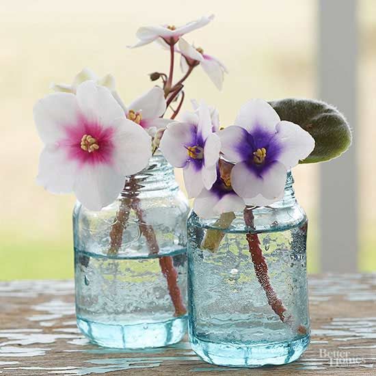 African Violet _ African violets_ Vase design_ Blac