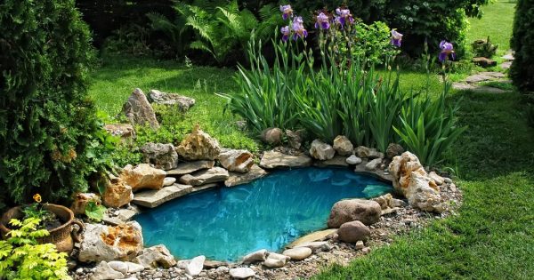 Great Backyard Pond Ideas For Your Garden _