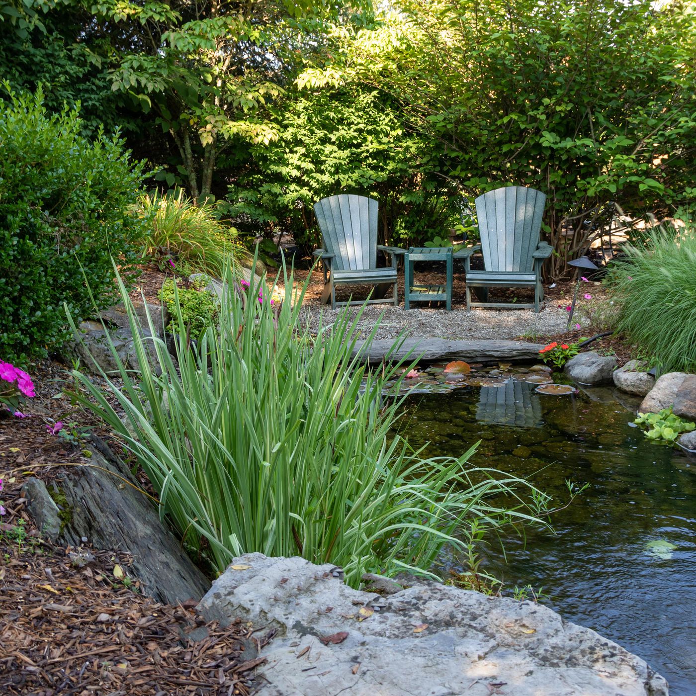 How to Create a Backyard Pond – This Old_yyt
