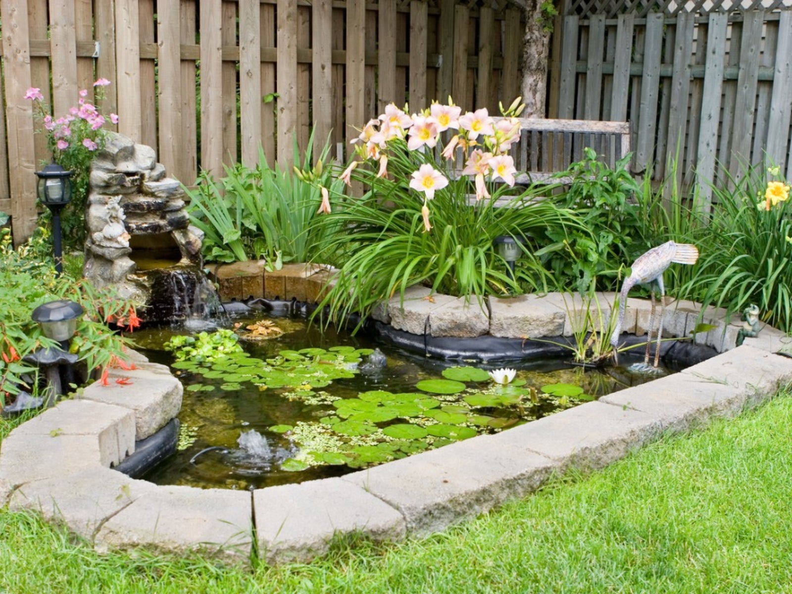 Information On How To Build A Small Pond In_