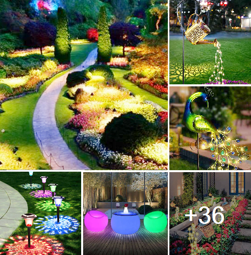 Amazing 23+ Garden Led Light Designs For Your Garden