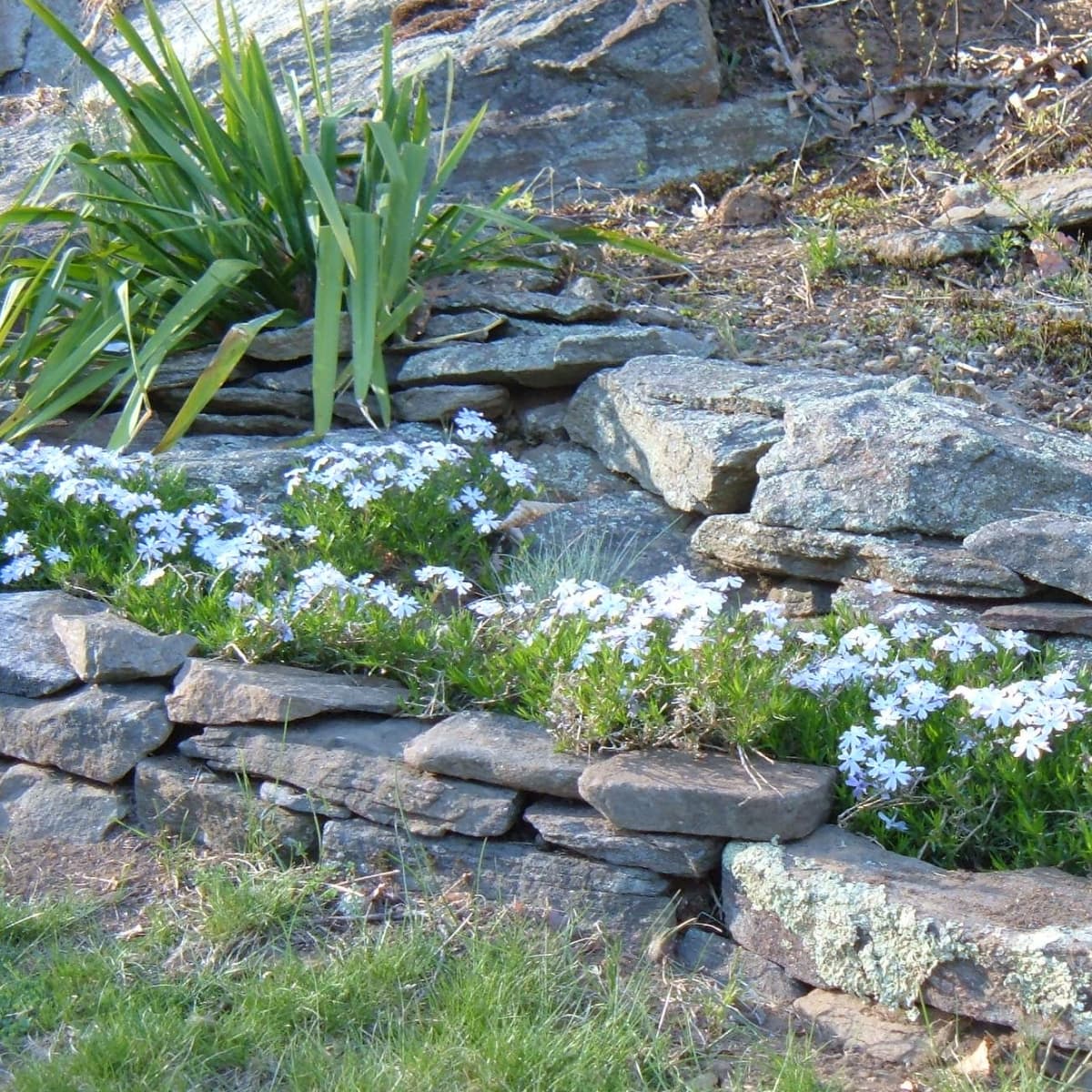 How We Designed Our Rock Garden_ Landscaping Our_yy