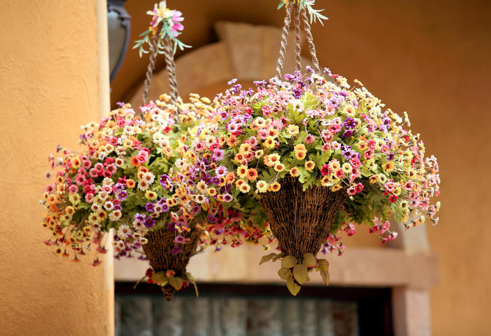 20hanging-basket-flowers