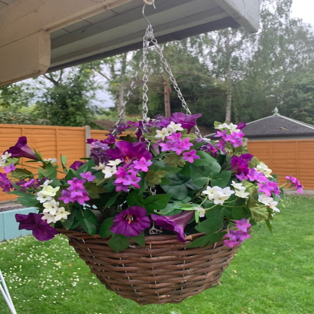 Purple-and-White-Morning-Glory-Hanging-Basket