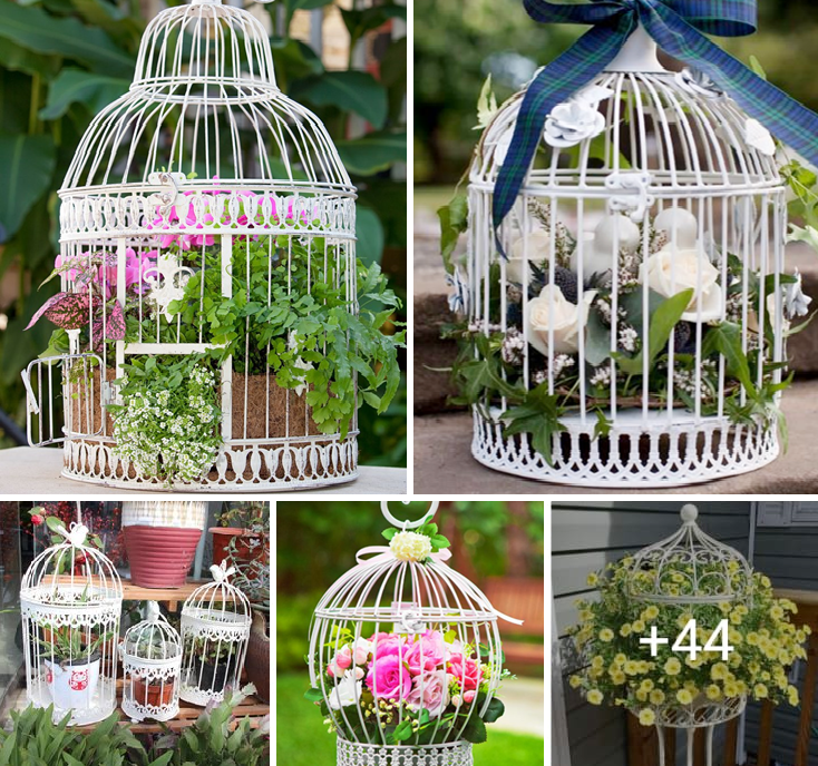 Add charm to your kitchen with elegant flowers in cage decorations