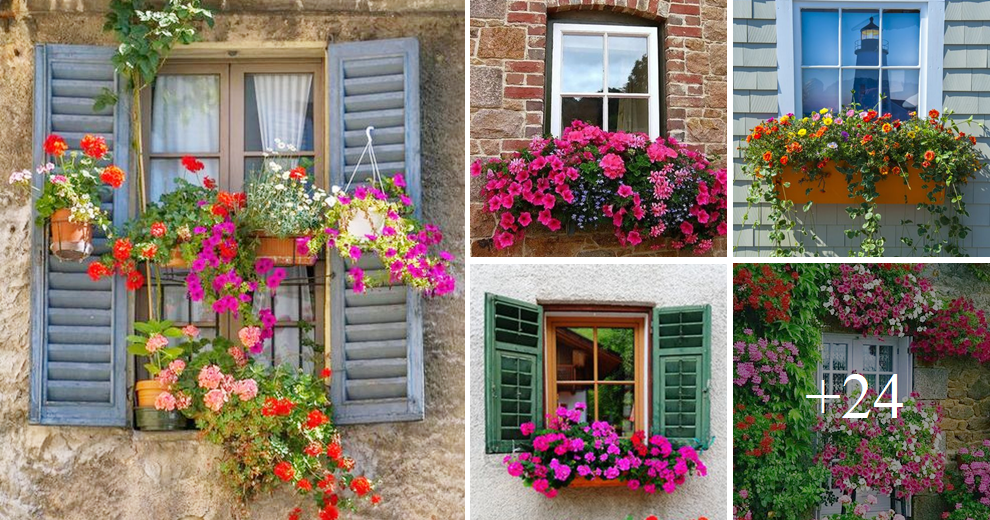 Adorn your windows with charming flowers this spring