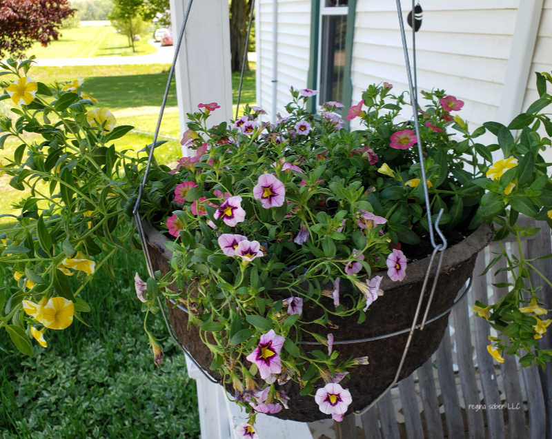 hanging-flower-baskets