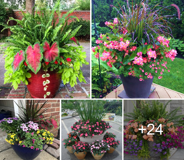 Amazing planter gardening ideas and pot designs
