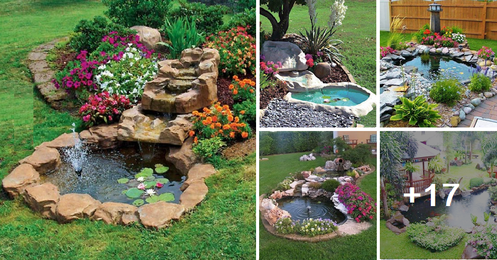 How to add a small and pretty pond to your backyard this summer