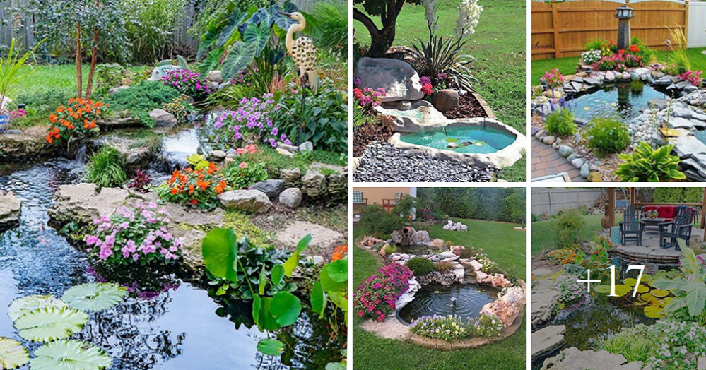 Cheer up your garden with a small pond