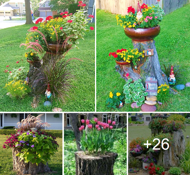 Amazing 26+ tree stump design ideas for your backyard