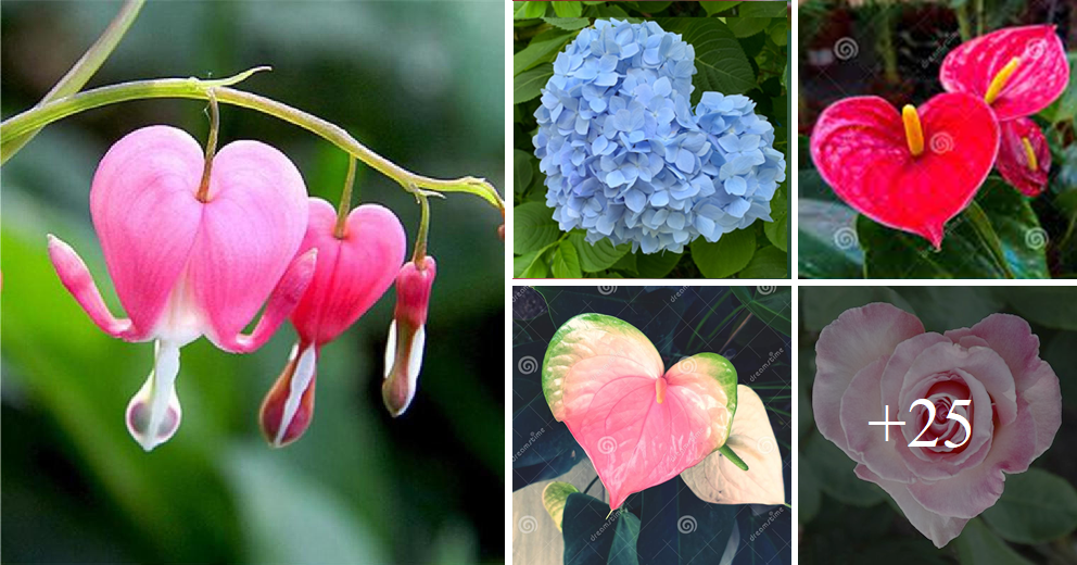 Heartwarming flowers will add charm to your home