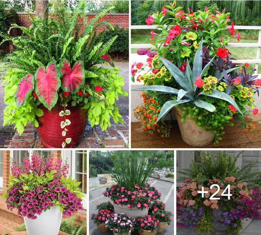 How to easily design a pretty planter garden