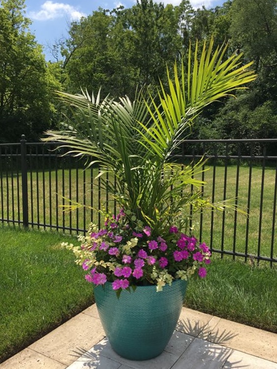 Amazing 21+ planter designs for your front door