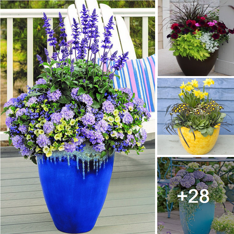 Amazing 28 planter colors and designs for spring
