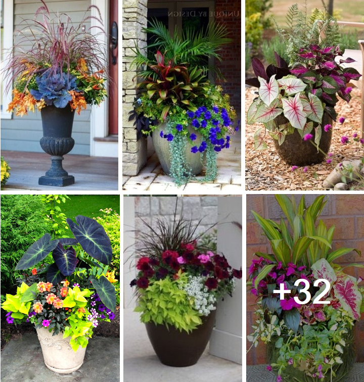 Charming 25+ planter design ideas for this spring