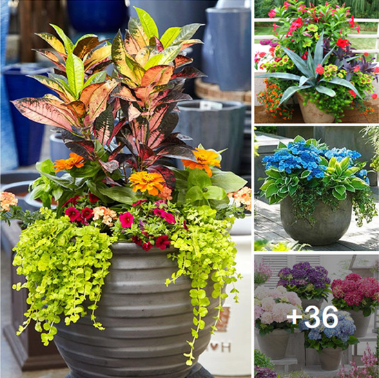 Amazing 24+ planter designs will add charm to your yard