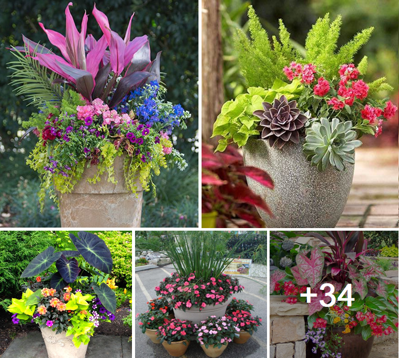 Captivating planter gardening and pot design ideas