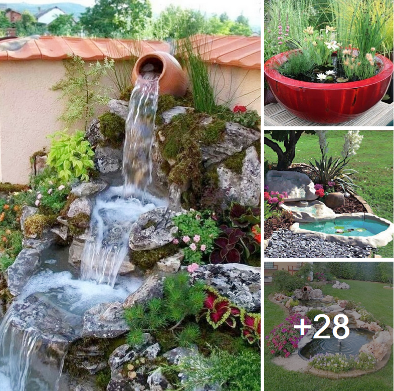 Cheer up your backyard with a charming water garden design