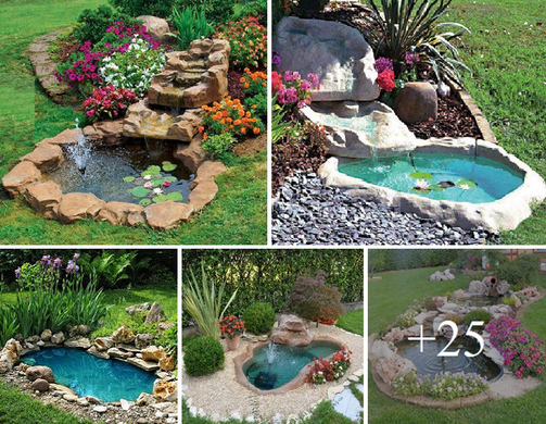 Perk up your backyard with a charming water garden design