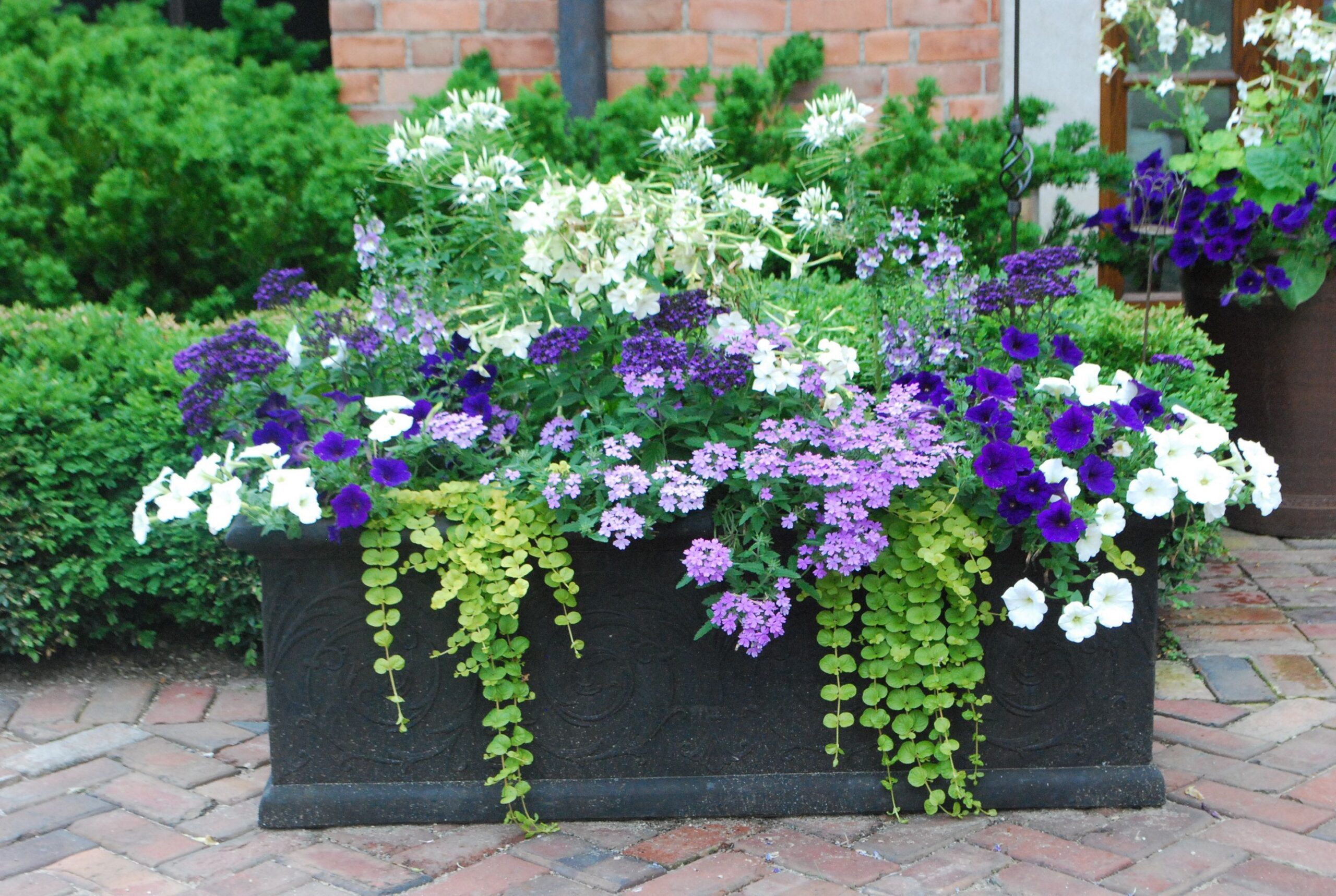 Amazing planter and pot designs for your backyard