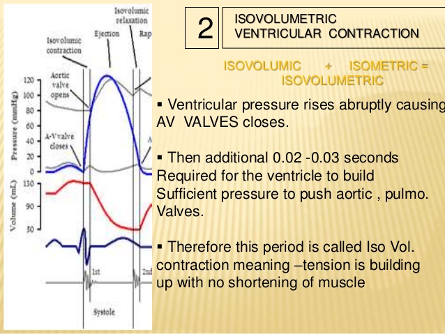 isometric period of cardiac cycle