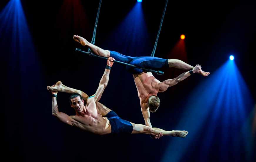 Trapeze Artist Liberal Dictionary