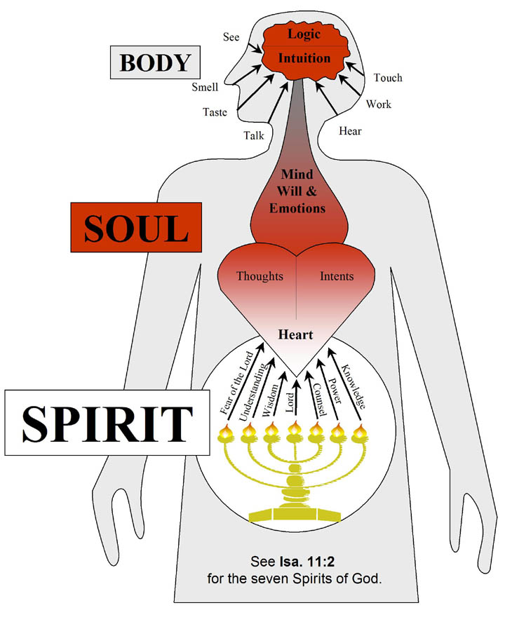 Taste talk. Spirit and body. Soul Spirit. Спирит боди соул. Дух и душа.